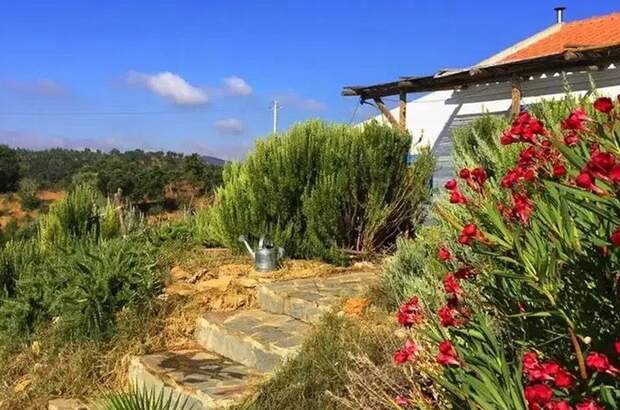 Haus kaufen (Bild 1)