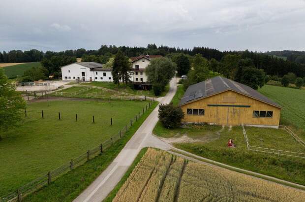 Gewerbeobjekt kaufen in 4600 Gunskirchen (Bild 2)