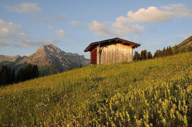 Grundstück kaufen in 6764 Lech (Bild 1)