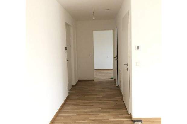 Terrassenwohnung mieten in 1230 Wien (Bild 3)