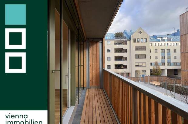 Terrassenwohnung mieten in 1120 Wien (Bild 1)