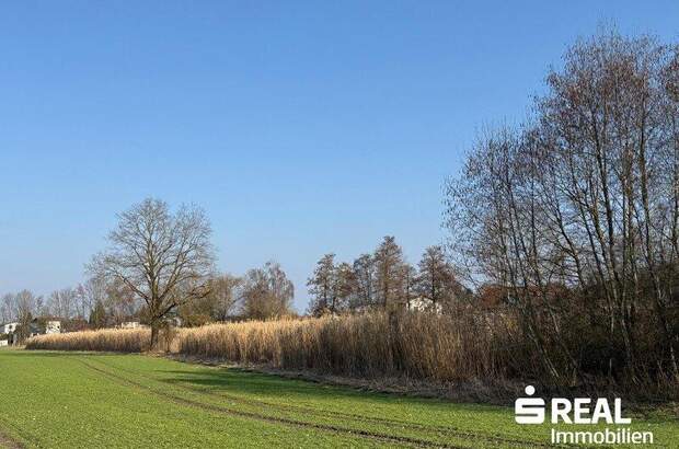 Grundstück kaufen in 5280 Braunau (Bild 3)