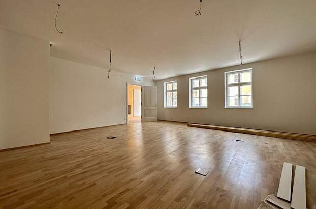Gewerbeobjekt mieten in 2500 Baden (Bild 3)