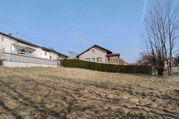 Grundstück kaufen in 4073 Wilhering (Bild 1)