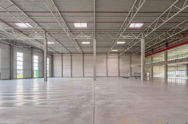 Gewerbeobjekt mieten in 4470 Enns (Bild 3)