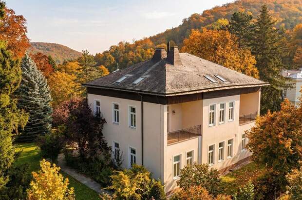 Wohnung kaufen in 3002 Purkersdorf (Bild 3)