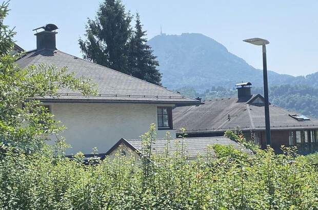 Haus mit Garten kaufen in 5023 Salzburg (Bild 2)