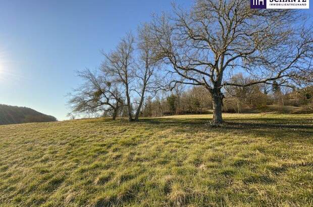 Grundstück kaufen in 8121 Deutschfeistritz (Bild 1)