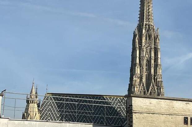 Gewerbeobjekt mieten in 1010 Wien (Bild 1)