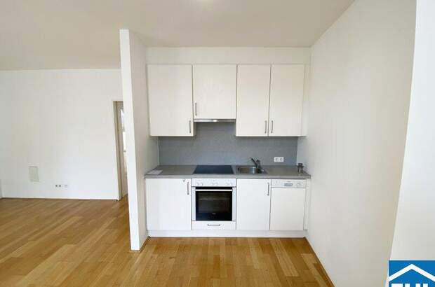 Terrassenwohnung mieten in 1070 Wien (Bild 3)