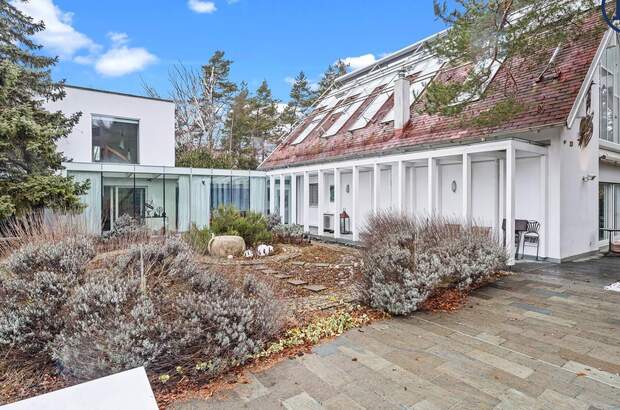 Grundstück kaufen in 2102 Hagenbrunn (Bild 2)