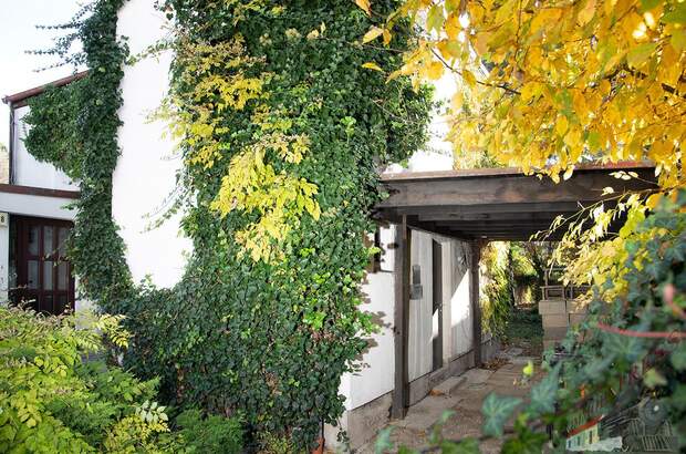 Einfamilienhaus kaufen in 1220 Wien (Bild 4)