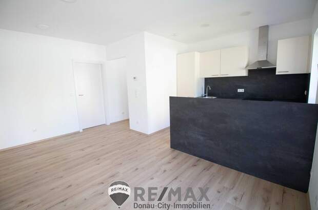 Einfamilienhaus mieten in 1220 Wien (Bild 5)