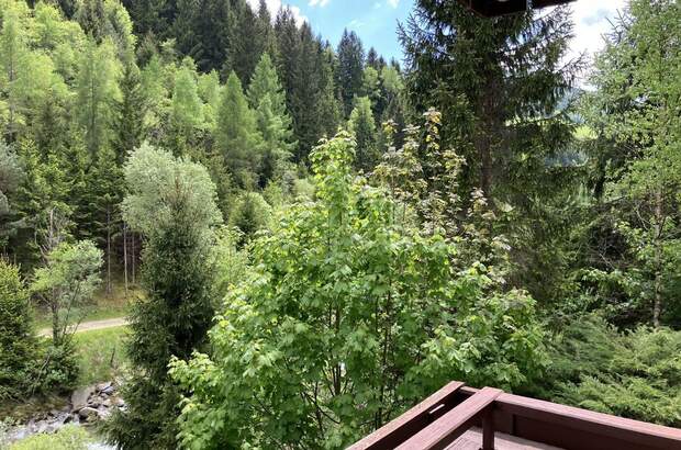 Wohnung mieten in 9861 Eisentratten