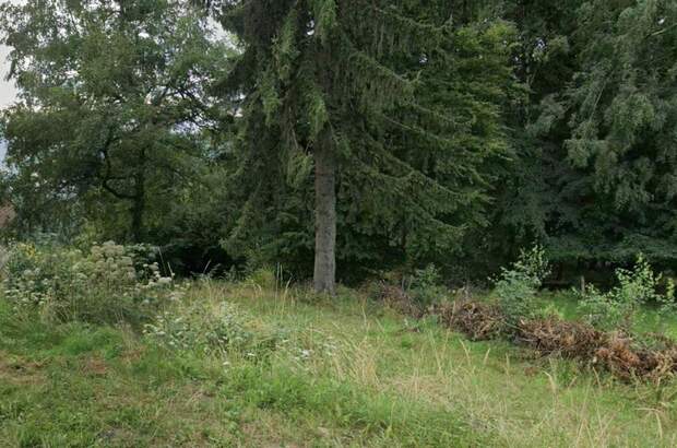 Grundstück kaufen in 8530 Trahütten (Bild 4)