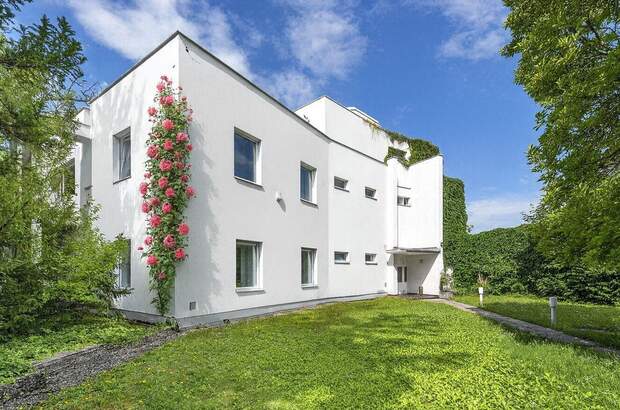 Gewerbeobjekt kaufen in 2700 Wiener Neustadt (Bild 1)