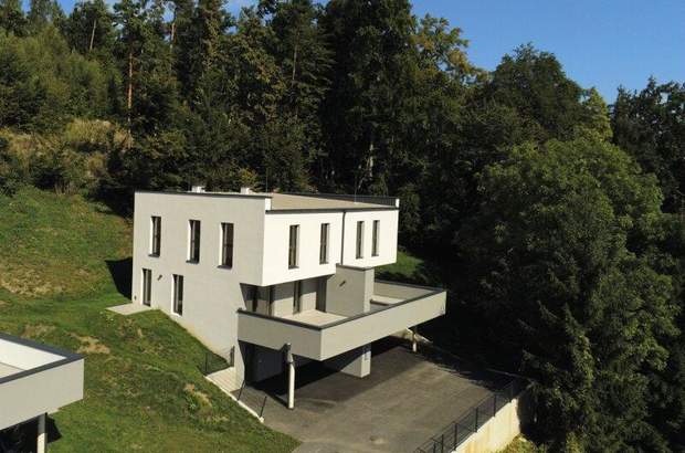 Mehrfamilienhaus kaufen in 8160 Weiz (Bild 1)