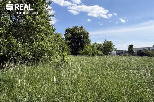 Grundstück kaufen in 7100 Neusiedl (Bild 1)