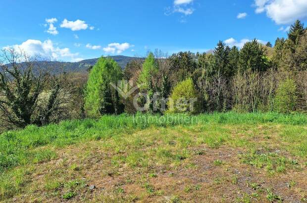 Gewerbeobjekt kaufen in 8152 Krottendorf (Bild 3)