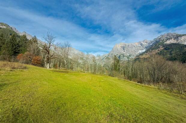 Grundstück kaufen in 5761 Maria Alm (Bild 3)