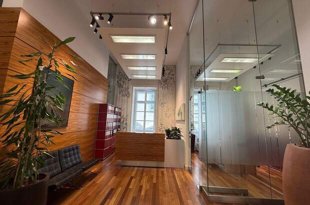 Gewerbeobjekt mieten in 1010 Wien (Bild 2)