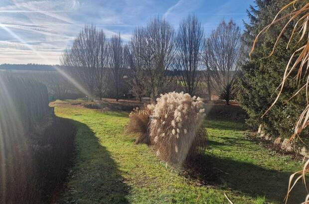 Grundstück kaufen in 4624 Pennewang (Bild 5)