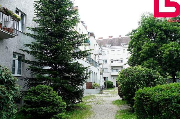 Wohnung mieten in 4600 Wels (Bild 3)