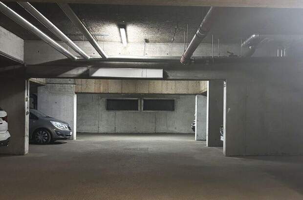 Halle / Lager / Produktion mieten in 1210 Wien (Bild 3)