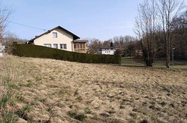 Grundstück kaufen in 4073 Wilhering (Bild 3)