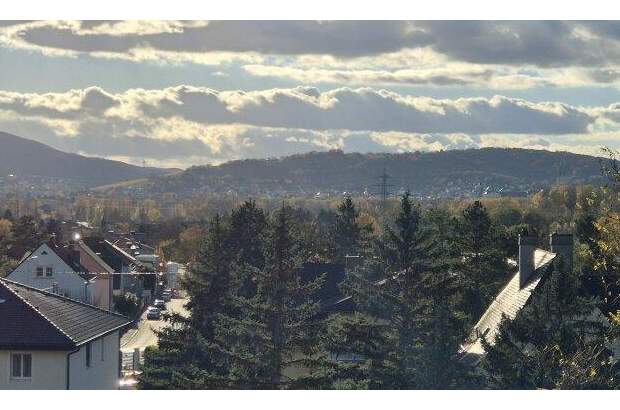 Grundstück kaufen in 2103 Langenzersdorf (Bild 2)