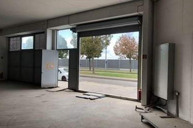 Gewerbeobjekt mieten in 1220 Wien (Bild 5)