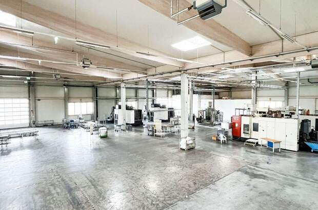 Gewerbeobjekt kaufen in 3382 Loosdorf (Bild 4)
