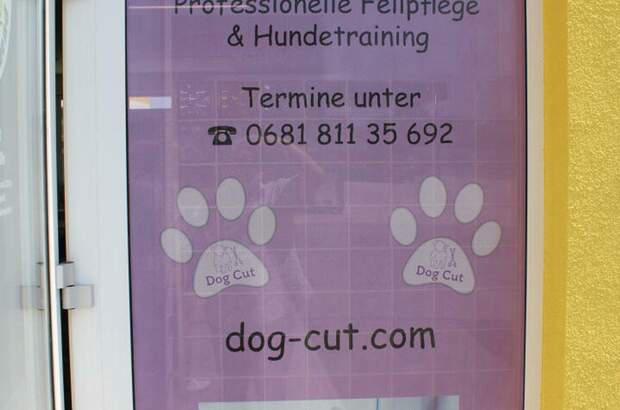 Gewerbeobjekt mieten in 2401 Fischamend (Bild 4)