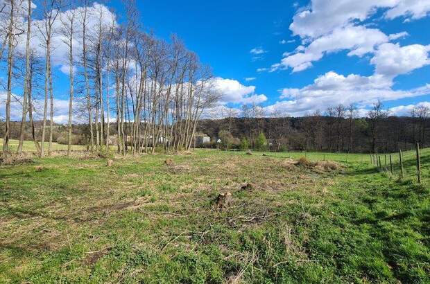 Grundstück kaufen in 8082 Kirchbach (Bild 4)