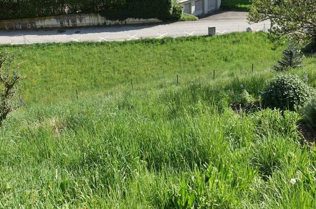 Grundstück kaufen in 8101 Gratkorn (Bild 4)