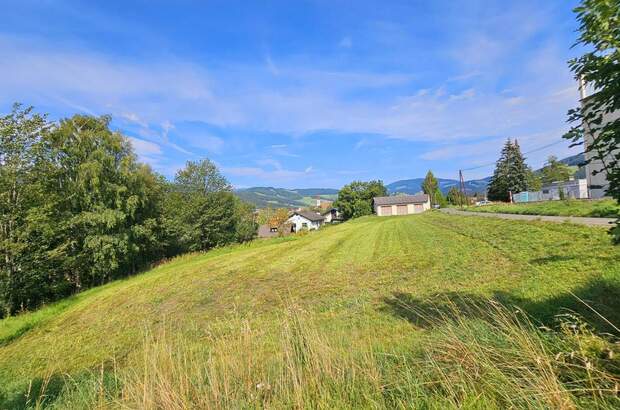 Grundstück kaufen in 8742 Obdach (Bild 3)
