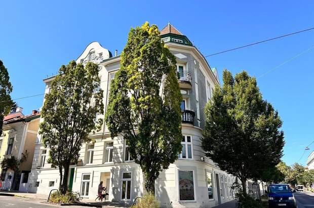 Altbauwohnung mieten in 1180 Wien (Bild 1)