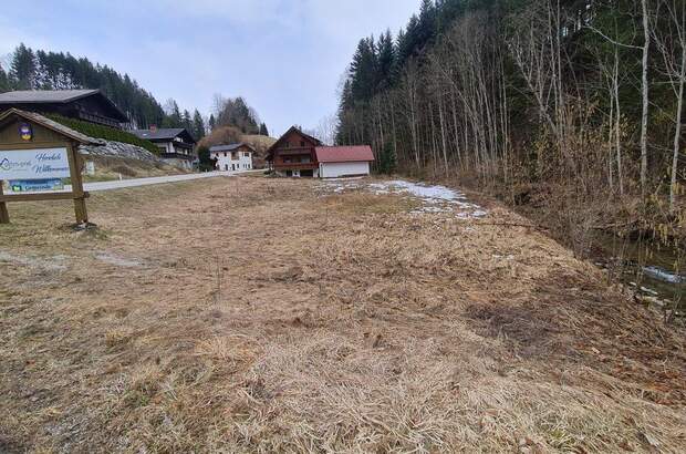 Grundstück kaufen in 4574 Vorderstoder (Bild 4)