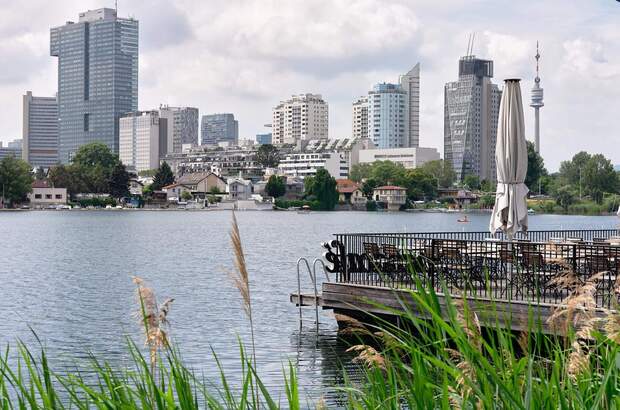 Mehrfamilienhaus kaufen in 1220 Wien (Bild 5)