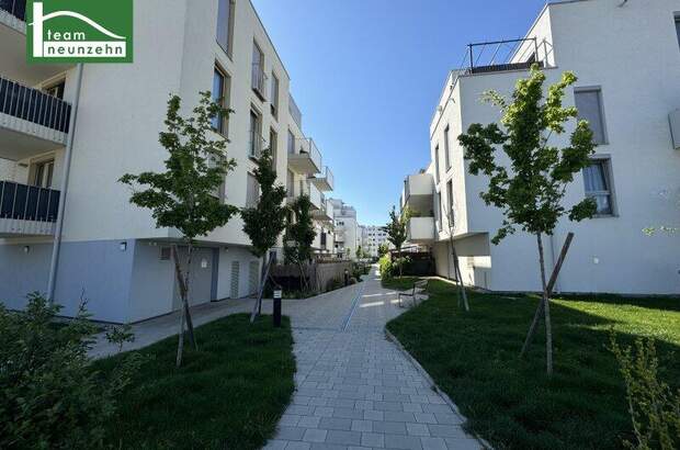 Terrassenwohnung mieten in 1220 Wien (Bild 1)