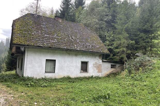 Gewerbeobjekt kaufen in 9135 Ebriach (Bild 2)