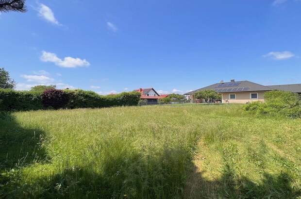 Grundstück kaufen in 8431 Gralla (Bild 2)