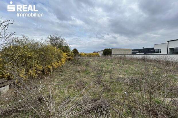 Grundstück kaufen in 8054 Seiersberg (Bild 1)