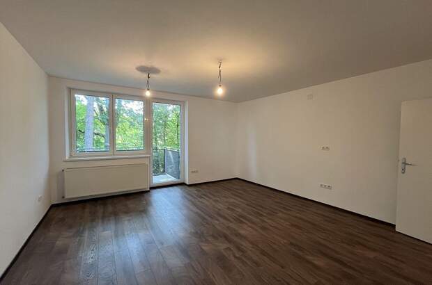 Wohnung mit Balkon mieten in 1190 Wien (Bild 1)