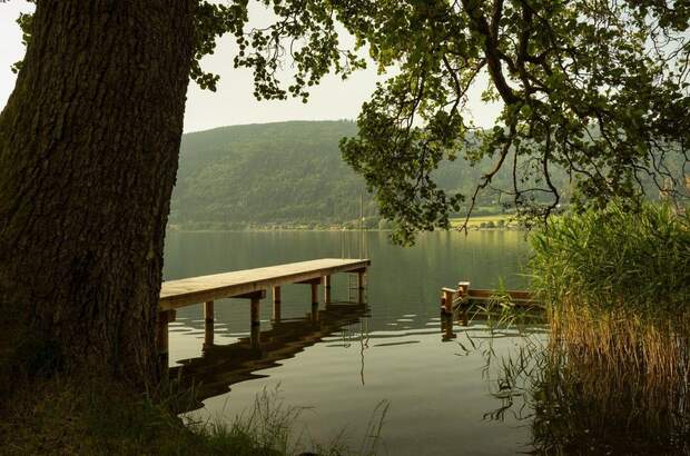 Eigentumswohnung in 9552 Steindorf (Bild 2)