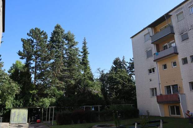 Altbauwohnung kaufen in 4060 Leonding (Bild 4)