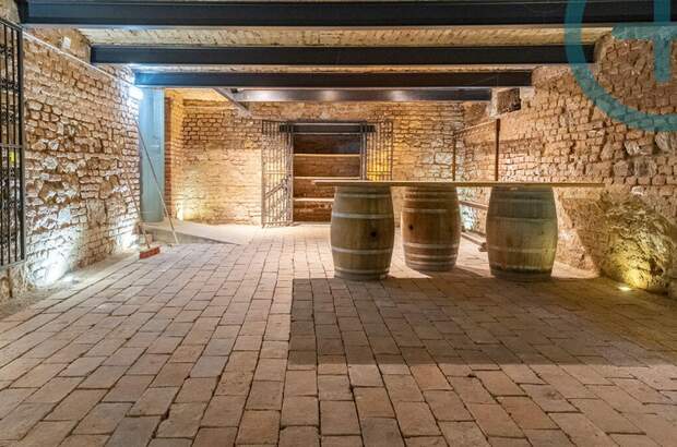 Gewerbeobjekt mieten in 2340 Mödling (Bild 5)