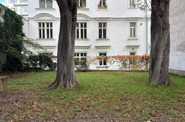 Gewerbeobjekt mieten in 1070 Wien (Bild 2)