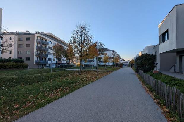 Haus mit Garten kaufen in 1100 Wien (Bild 1)