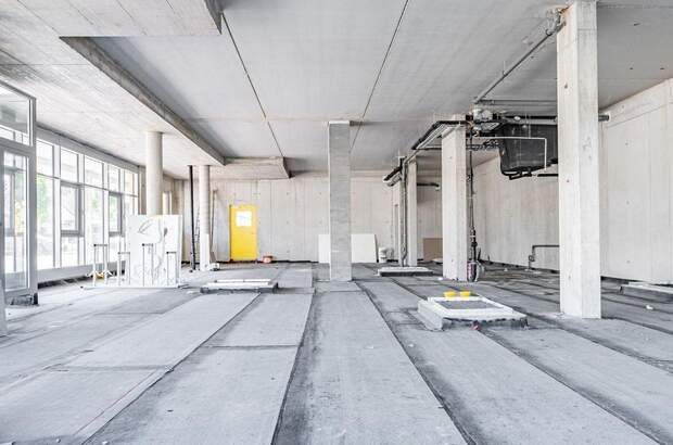 Gewerbeobjekt kaufen in 4490 St. Florian (Bild 2)